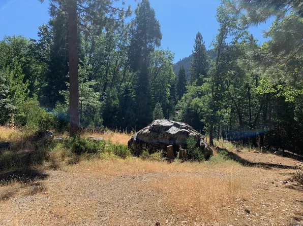 103 Lewis Ln, Sierra City, CA 96125
