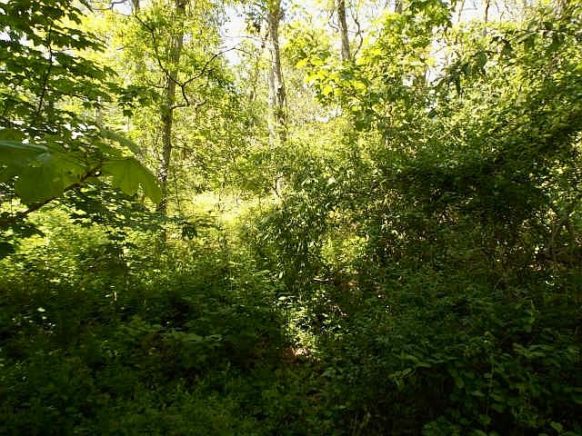 1st image of 0 Old Country Ln