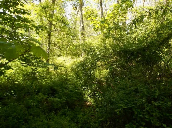 0 Old Country Ln, Vineyard Haven, MA 02568