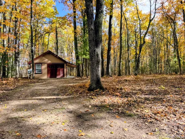 275 E Skyline Dr, Roscommon, MI 48653