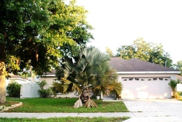1st image of 4246 Luawana Dr