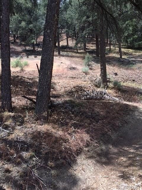 2nd image of 14728 Pinehurst Dr
