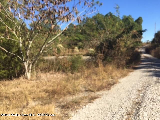 2nd image of Coyote Cove Rd