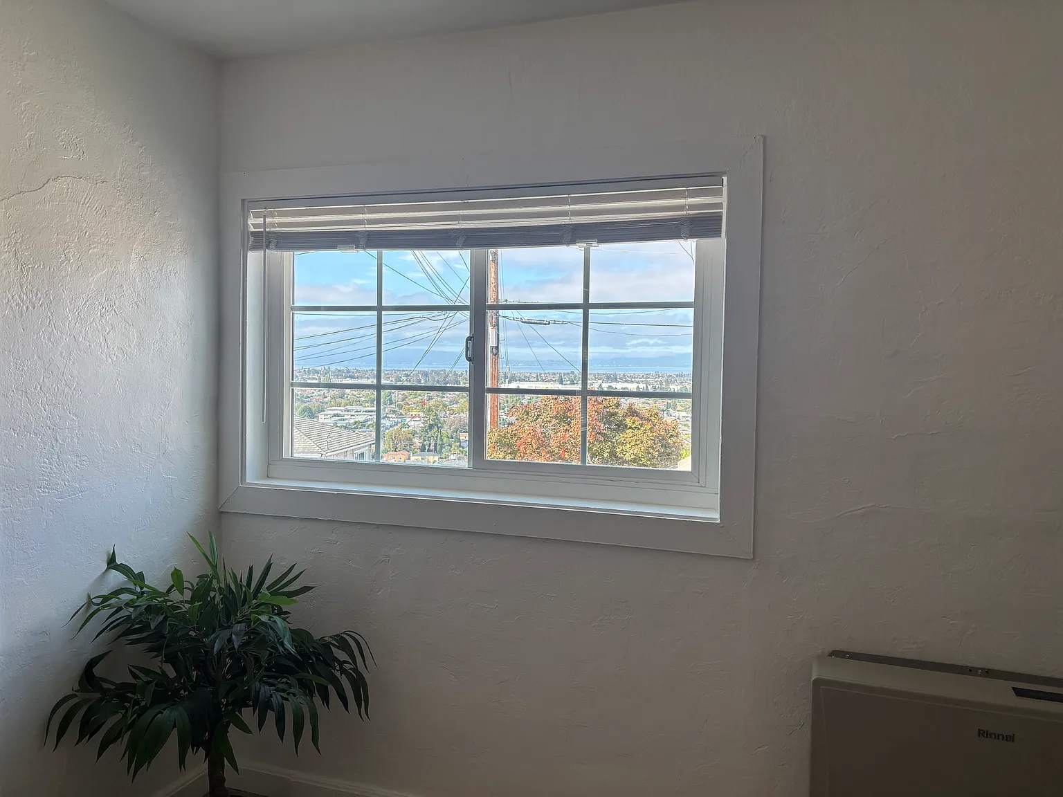 1 bed, 667 sqft, $2,395 — Photo 1