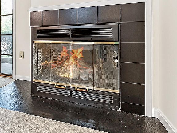 Wood burning fireplace