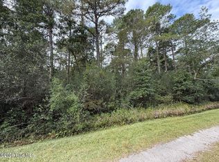7 Maple St, Boiling Spring Lakes, NC 28461