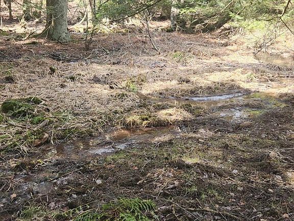 5th image of 4 Maple Summit Rd