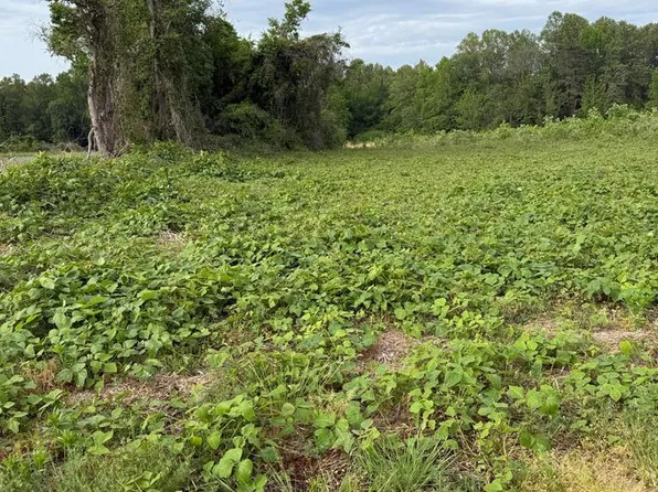 15-1-31F Damerontown Rd, Lottsburg, VA 22511