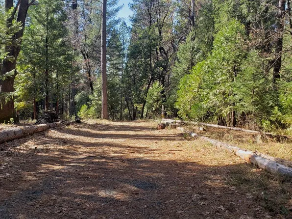 16136 Countrywood Ln, Nevada City, CA 95959
