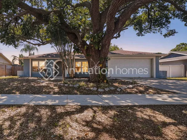 612 Limetree Dr, Oldsmar, FL 34677