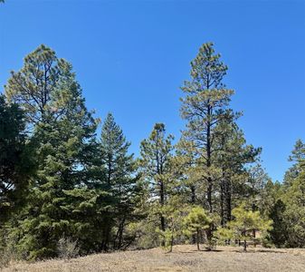 2A County Road 349, Chama, NM, 87520