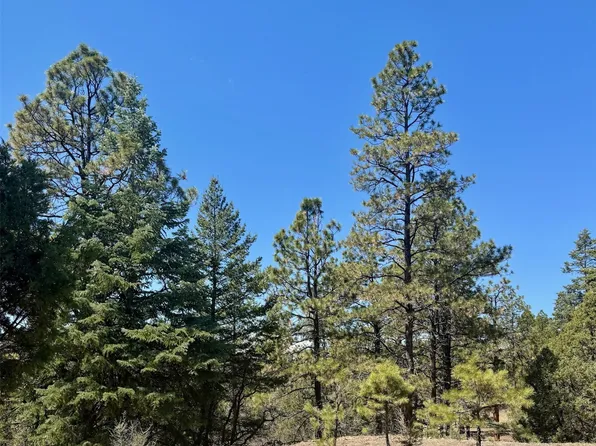 2A County Road 349, Chama, NM 87520