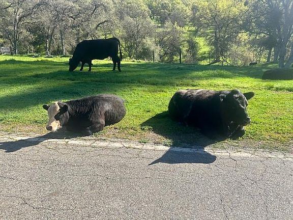 4th image of 0 Moccasin Ranch Rd