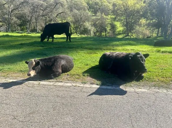 0 Moccasin Ranch Rd, La Grange, CA 95329