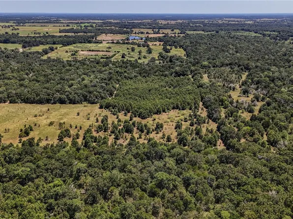 5151 Springfield Rd, Normangee, TX 77871