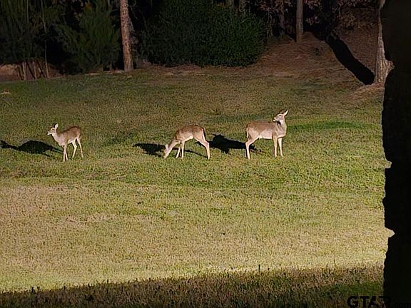 5th image of 17344 Mary Martin Dr