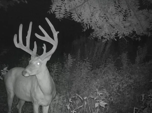 H Hwy, Maysville, MO 64469