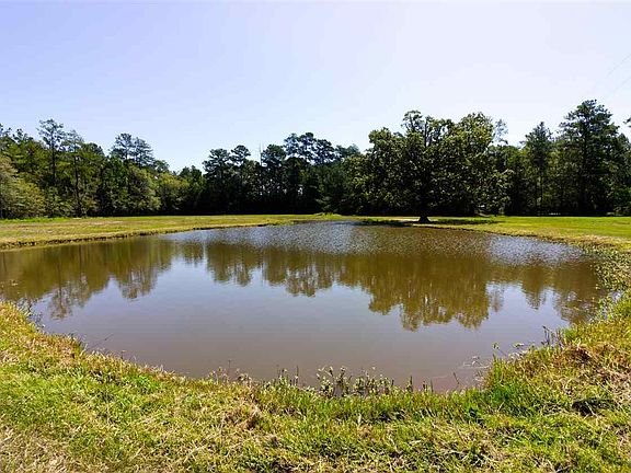 2nd image of 10935 County Road 701