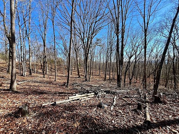 2nd image of 291 Mary Brown Ln