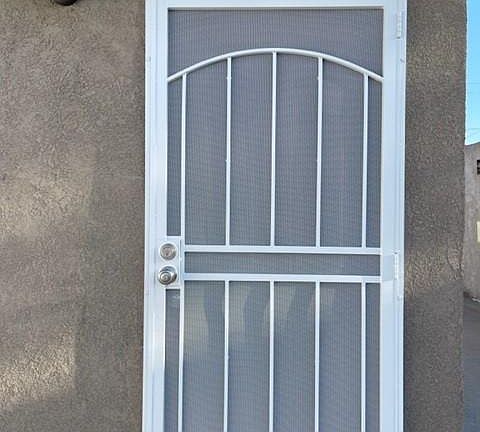Front Door with Security Screen Door