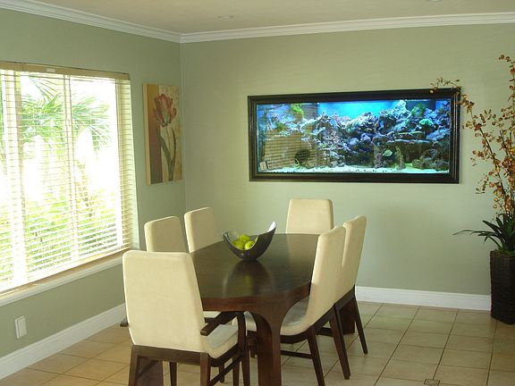 Dining Room - 210 gallon Salt water fish tank