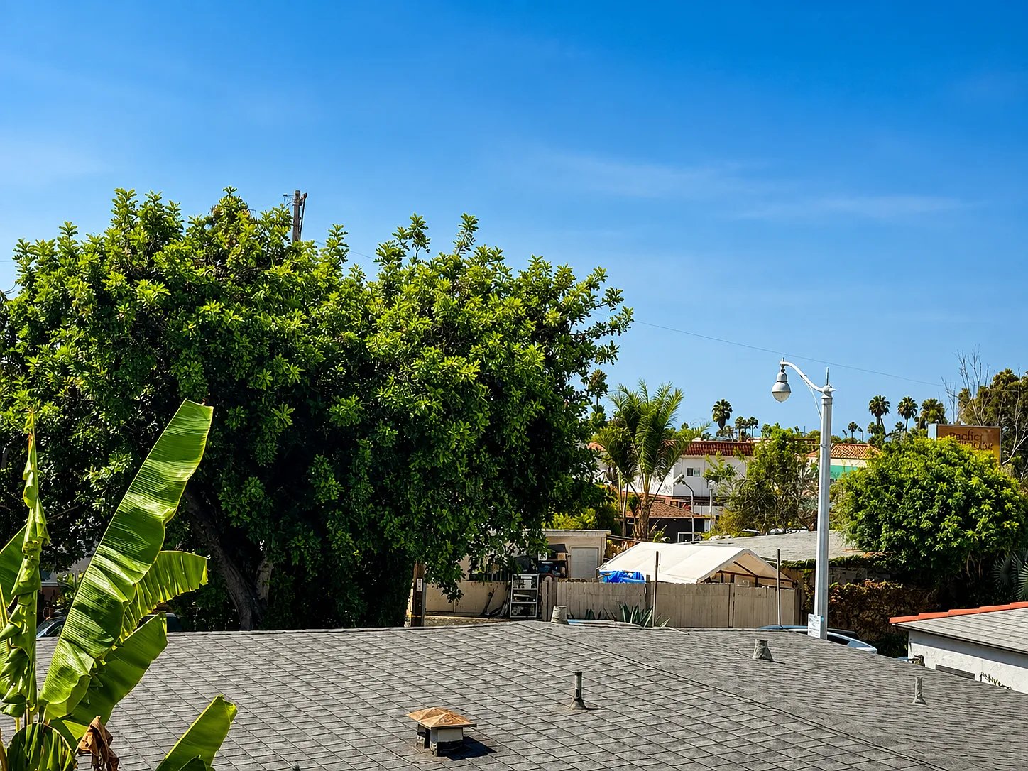 1 bed, $2,895 — Photo 4