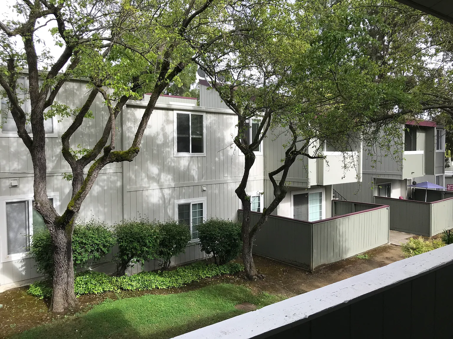 2 bed, 736 sqft, $1,780 — Photo 2