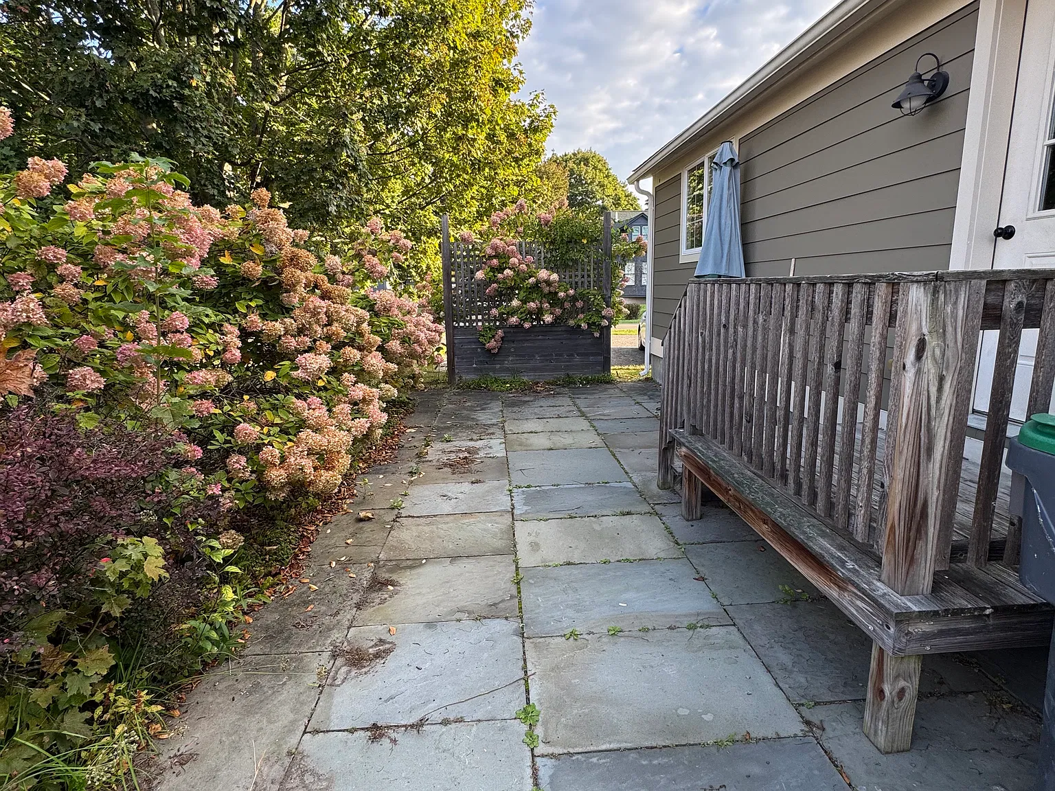 1 bed, $1,600 — Photo 1