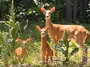 3037 Deer Trl, Gaylord, MI