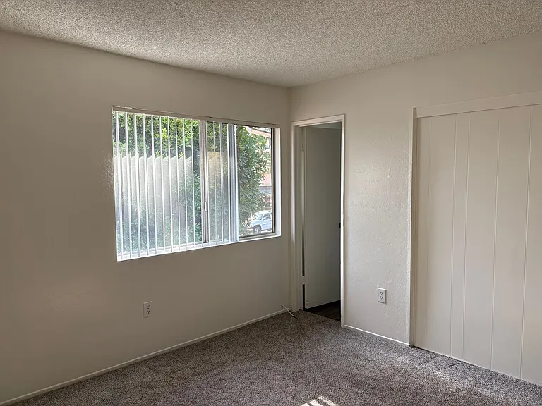 saf2229 — Photo 15