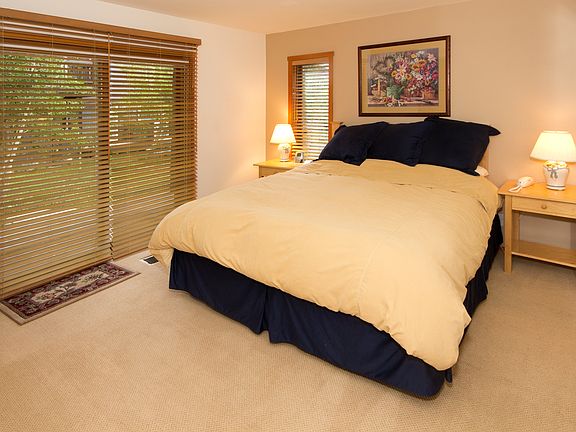 Downstairs Master Bedroom