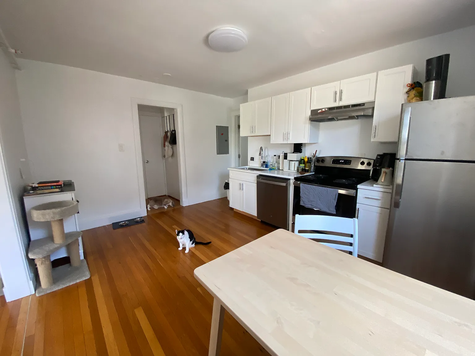 1 bed, 750 sqft, $2,600 — Photo 3