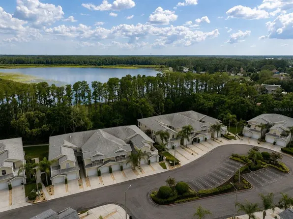 1651 HAMMOCKS AVENUE, LUTZ, FL 33549