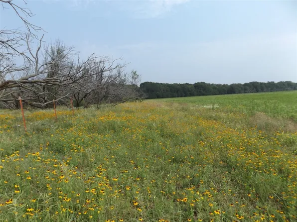 Township Road 5 Hoffman Rd, Loving, TX 76460