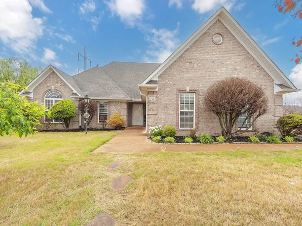 126 Chestnut Cv, Medina, TN 38355