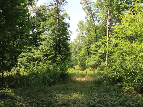 122 Sims Ln, Yellville, AR 72687