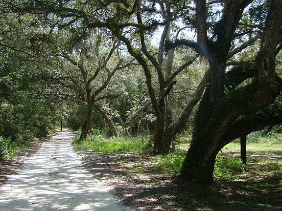4th image of 34192 Oak Hammock Dr