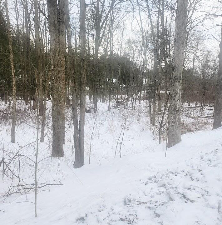 1st image of 0 Brush Creek Rd