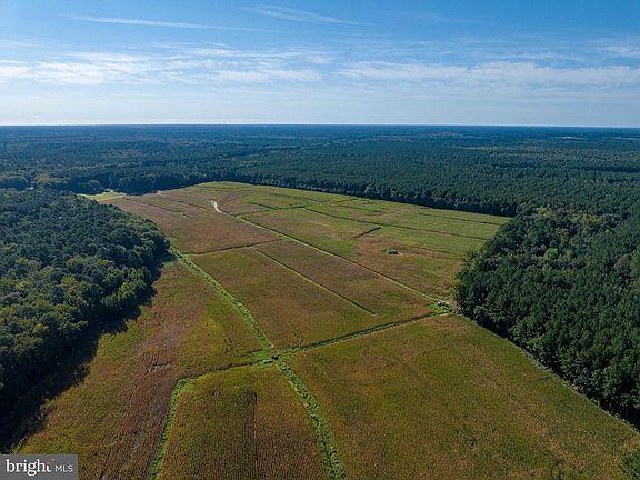 5th image of 0 Greenbriar Swamp Rd