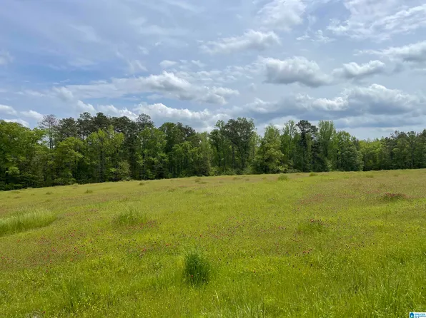 3242 County Road 42 #1, Jemison, AL 35085