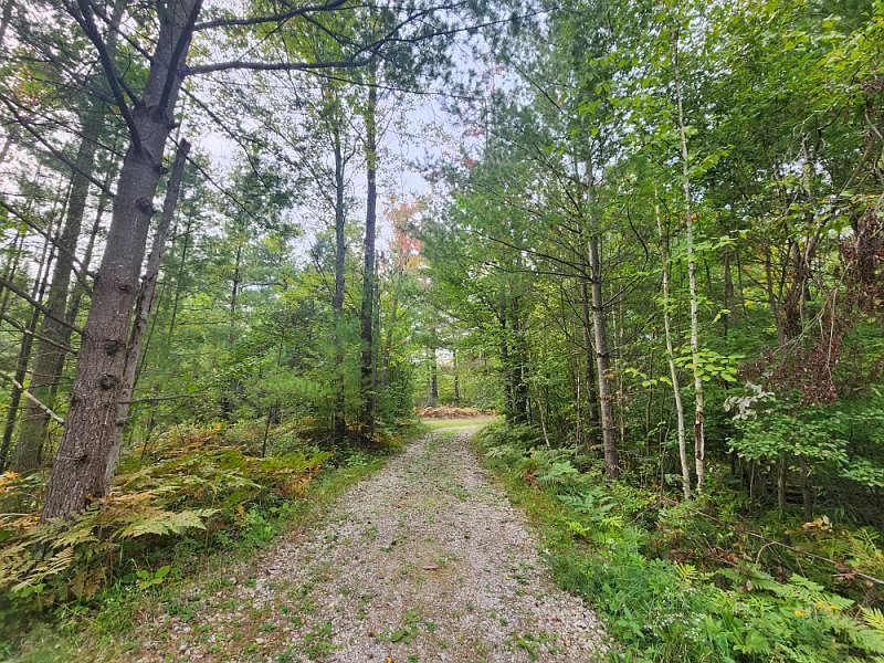 0 S Vaughn Lake Dr, Glennie, MI 48737 Zillow