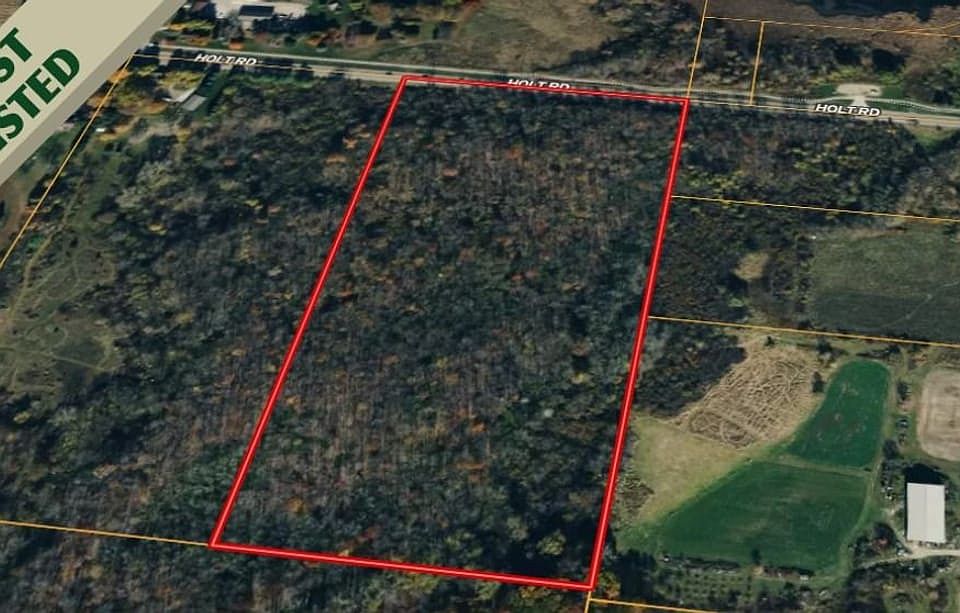 Screenshot 2026 01 19 125430