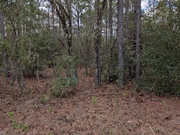 0 SW 90th St, Dunnellon, FL 34432