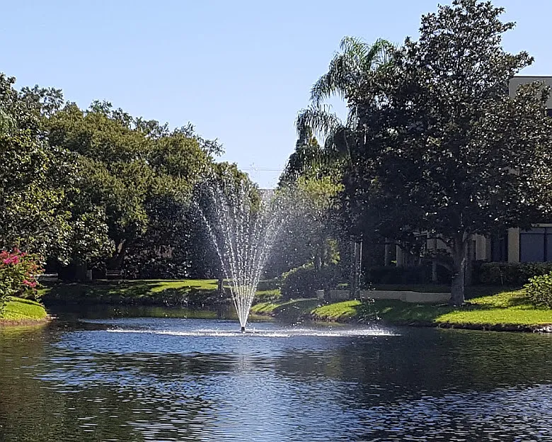Rosemary Ln, Largo — Photo 2