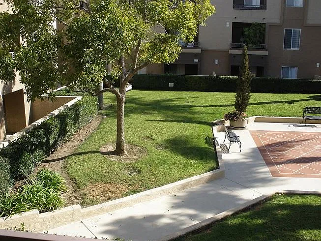 3520 Lebon Dr #5219 — Photo 9
