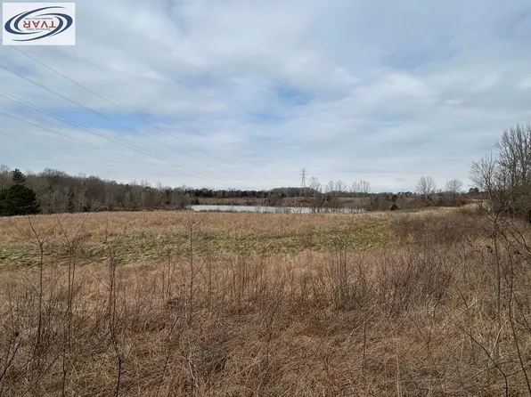 0 Pled Wade Rd, Cottage Grove, TN 38224