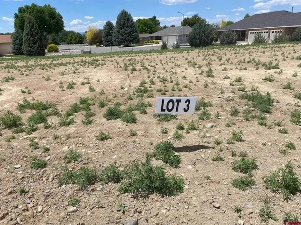 Lot 3 6700 Road, Montrose, CO 81401