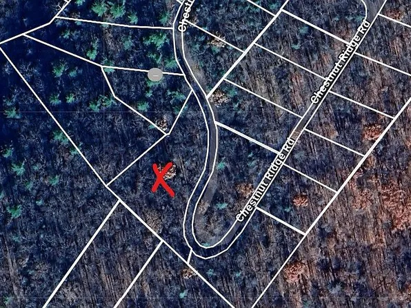 422 Chestnut Ridge Rd, Mount Jackson, VA 22842