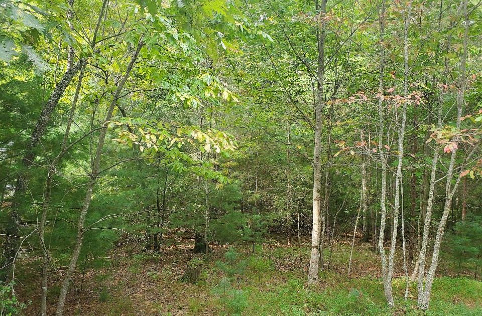 1st image of Warnock Mtn. Acres