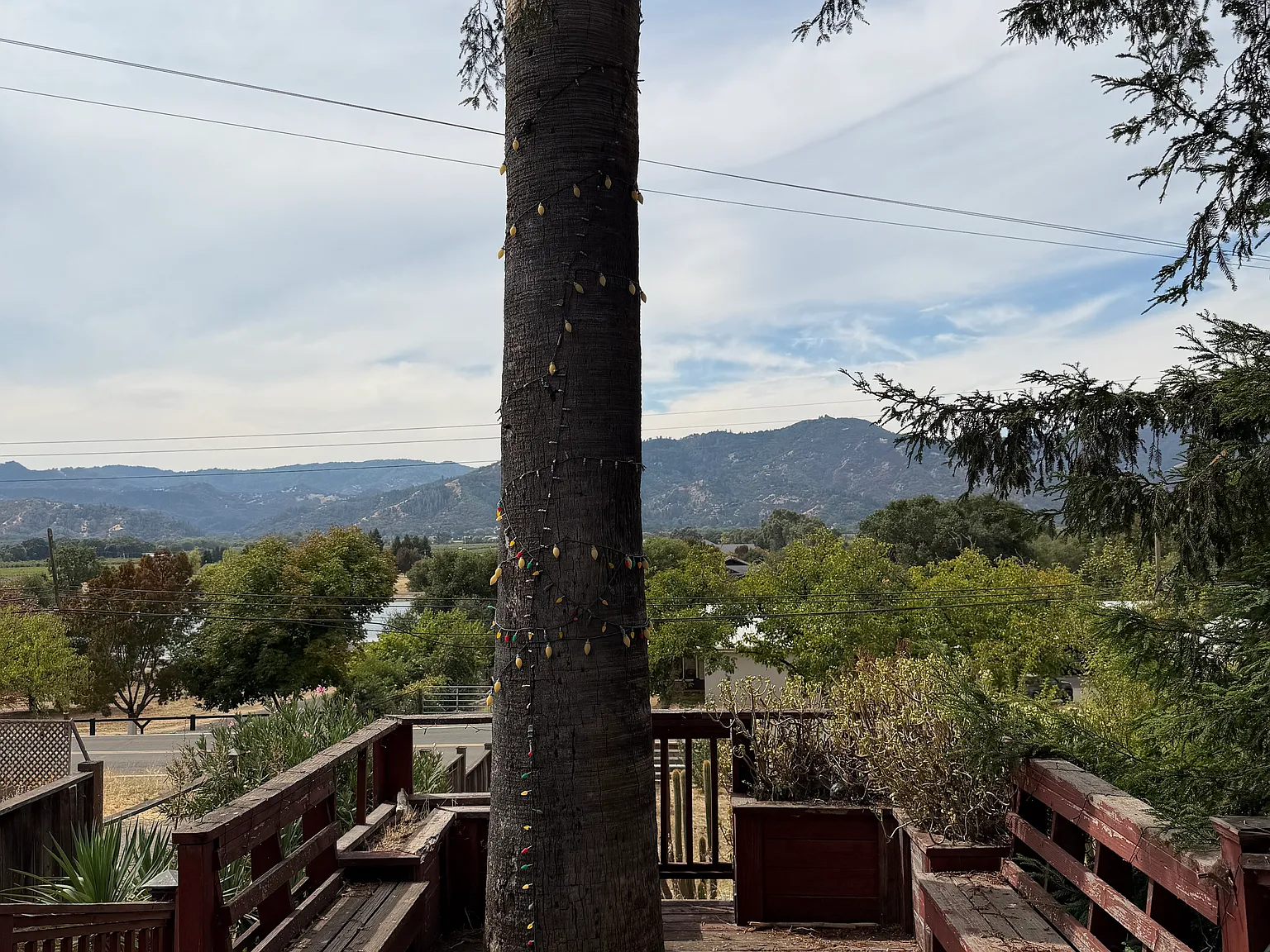 3 bed, $3,000 — Photo 1